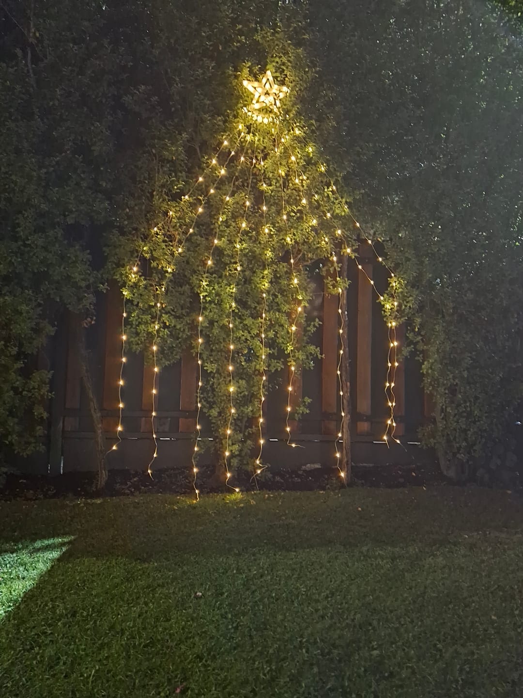 Customer photo review of Cascada Árbol Navidad SOLAR