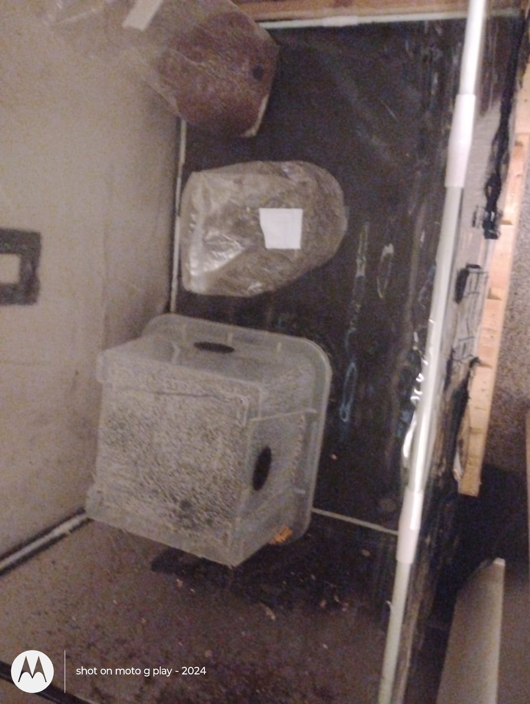 Customer photo review of 'Mark 1' Small Mushroom Monotub
