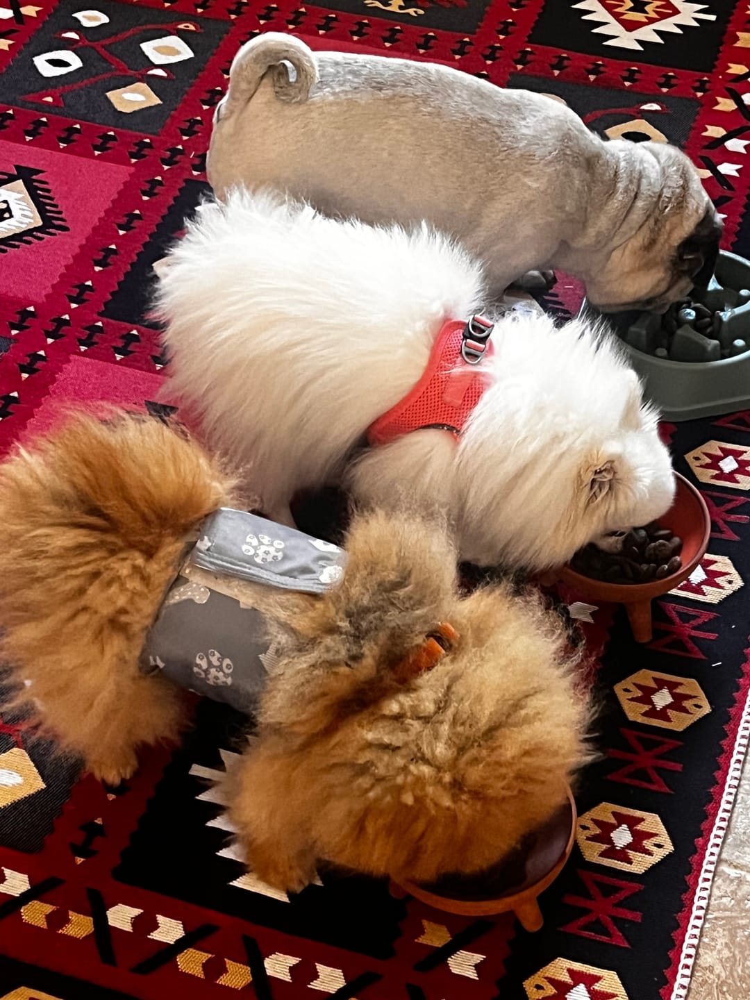Customer photo review of Maya %100 Naturel Pamuk Yıkanabilir Çift Taraflı Oturma Odası Mutfak Koridor Modern Kilim 28 RED