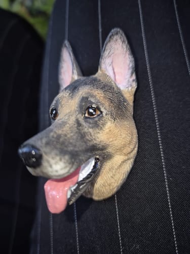 Customer photo review of Personalized Custom Pet Keychain/Magnet