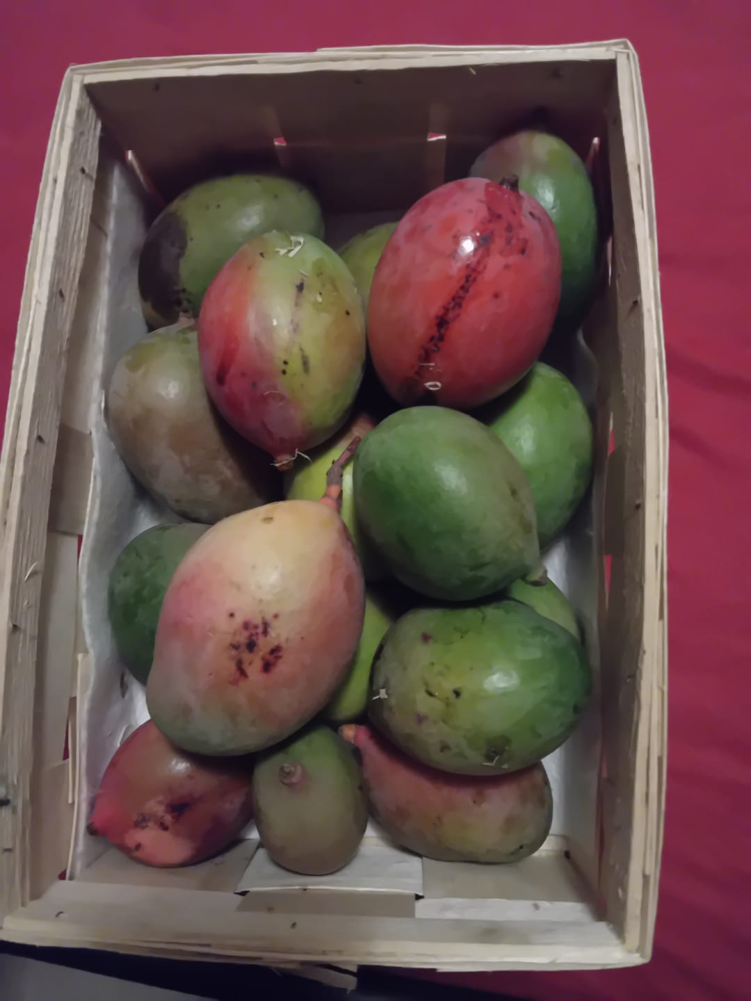 Customer photo review of Mini-Mango Keitt Bio Sonderpreis