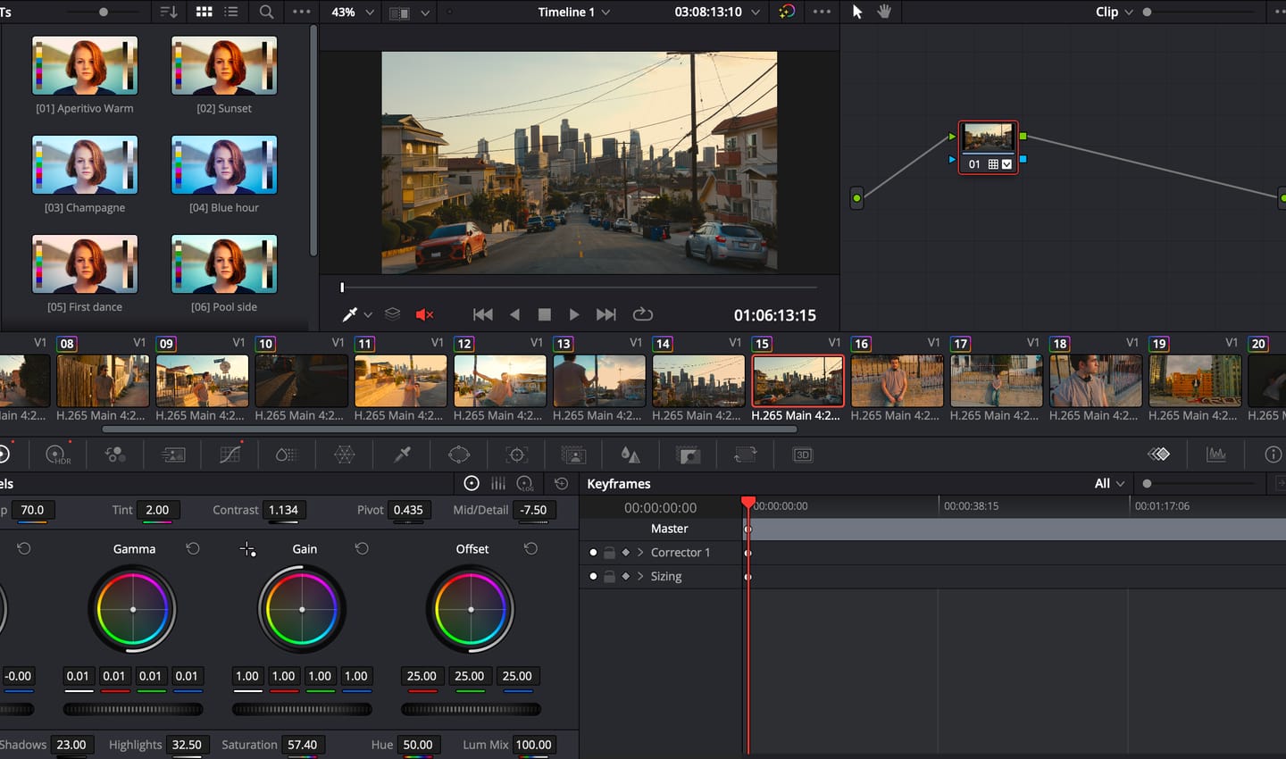 Customer photo review of LUT Bundle