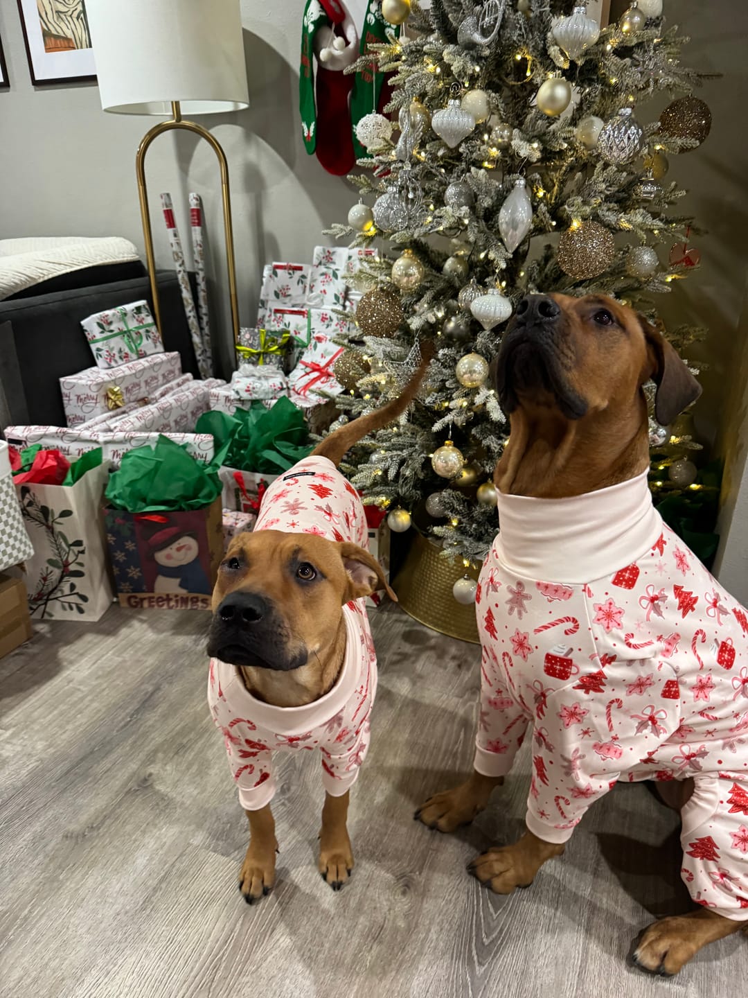 Customer photo review of Dog Christmas Pajama - Candy Cane