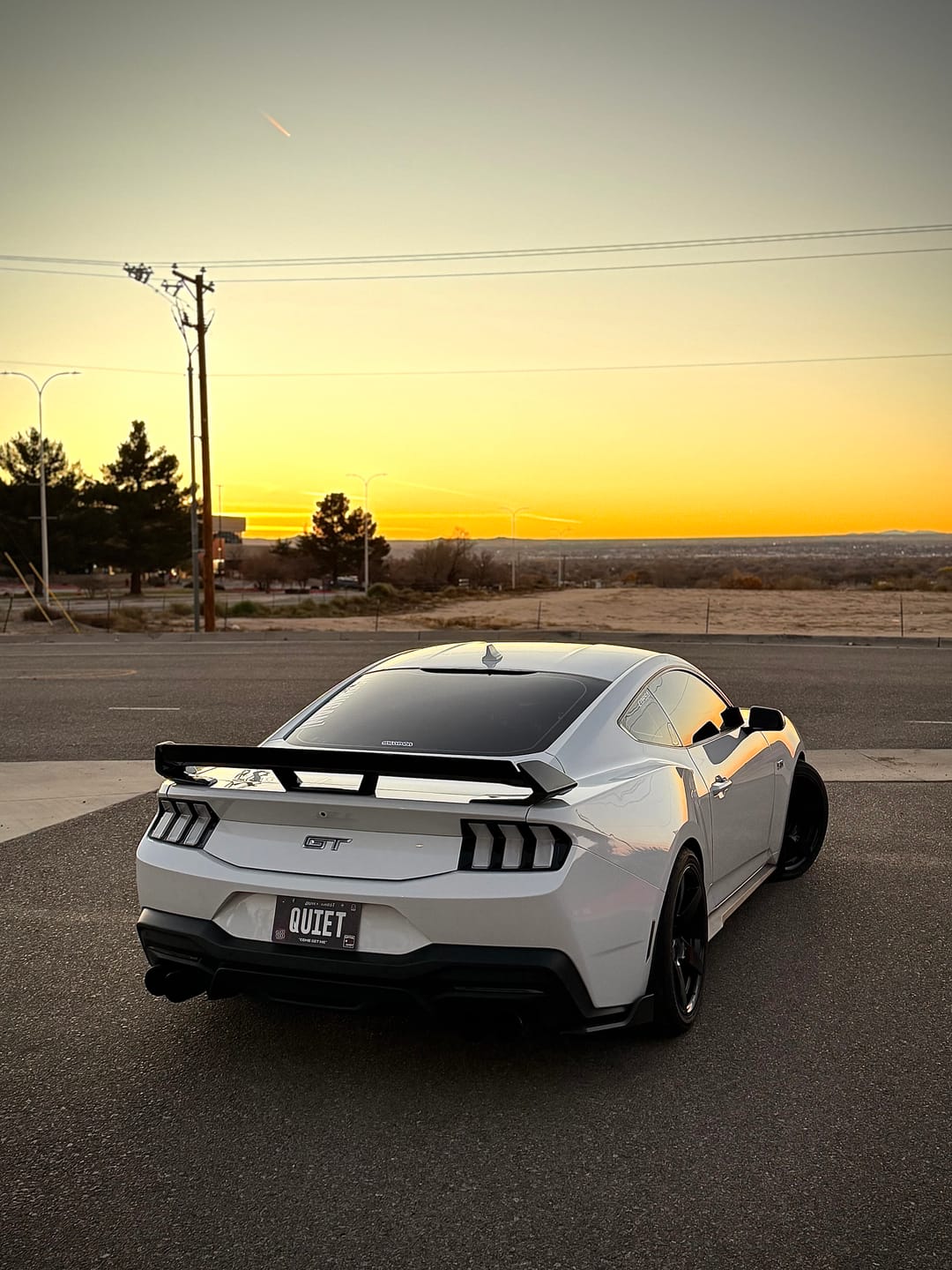 Customer photo review of 2024-2025 Mustang S650 Euro Style Taillights Amber Turn Signal Sequential
