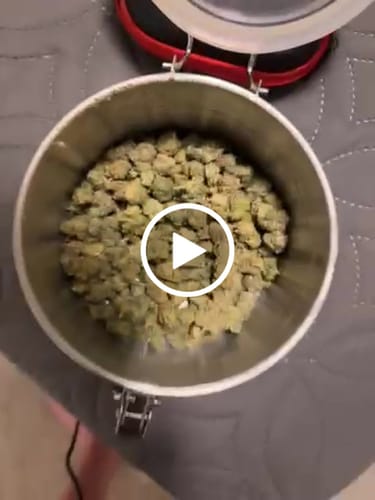 Customer video review of THCa Greenhouse Smalls