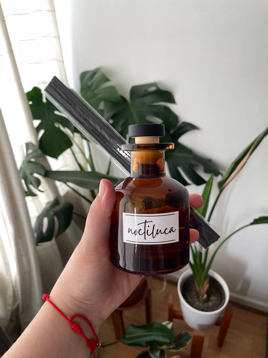 Customer photo review of 2 - Lima Verbena