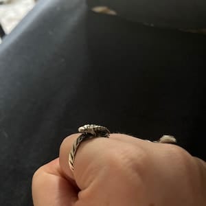 Customer photo review of Ouroboros Dragon Ring