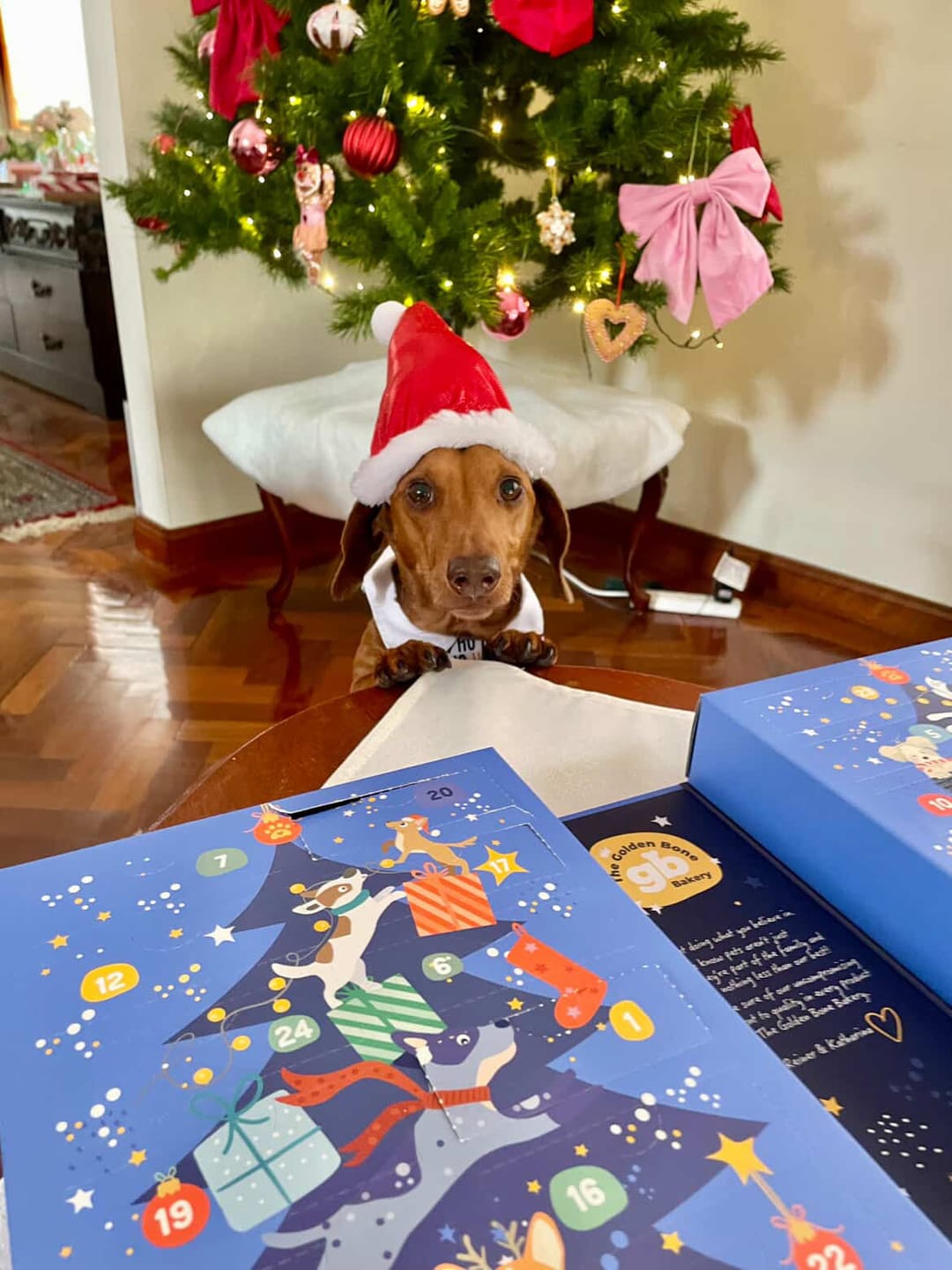 Customer photo review of Christmas Dog Treats Advent Calendar