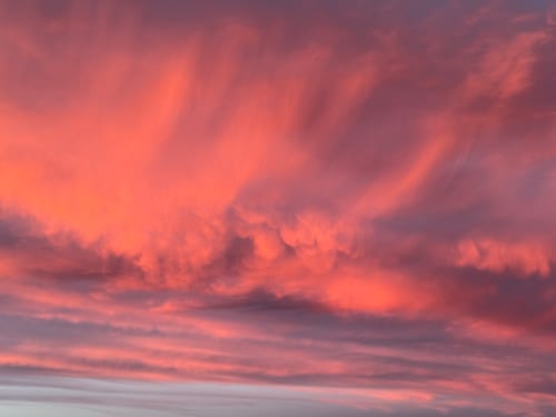 Customer photo review of Set campioni orientali e legnose 2ml