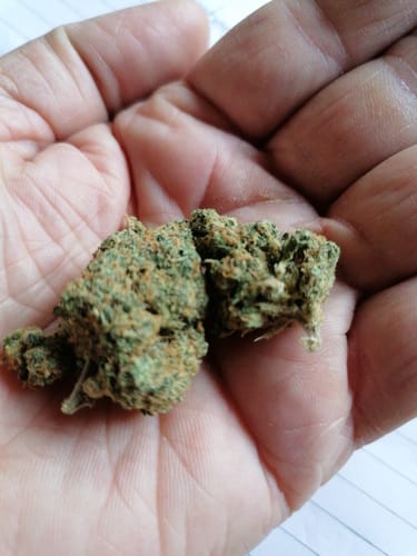 Customer photo review of California Blueberry Ökopack