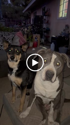 Customer video review of Freedom Joint Drops - Advanced Joint Support with Hyaluronic Acid