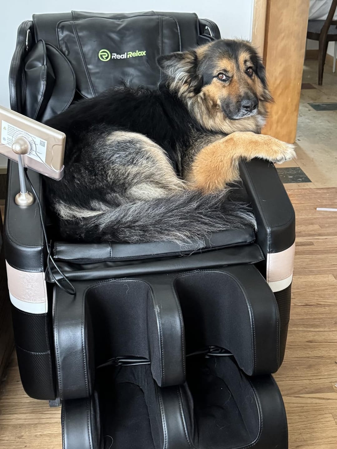 Customer photo review of BS-04 Massage Chair Black