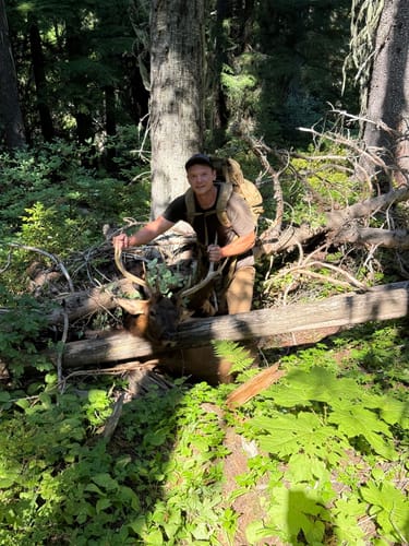 Customer photo review of Titanium Broadheads