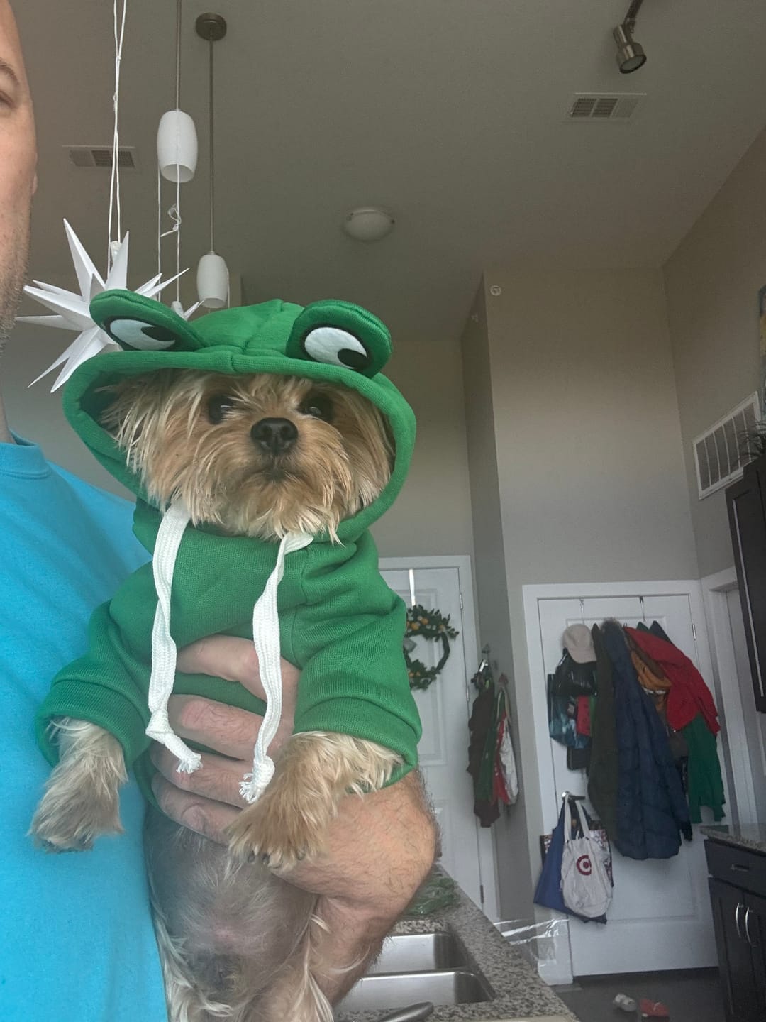 Customer photo review of Frog Hoodie Fleece Sweater