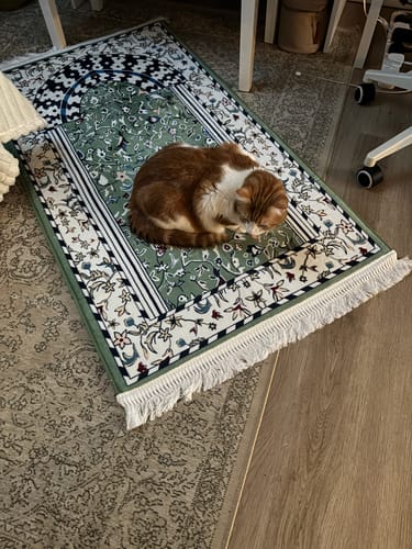 Customer photo review of Minbar Al Rawda Padded Prayer Mat