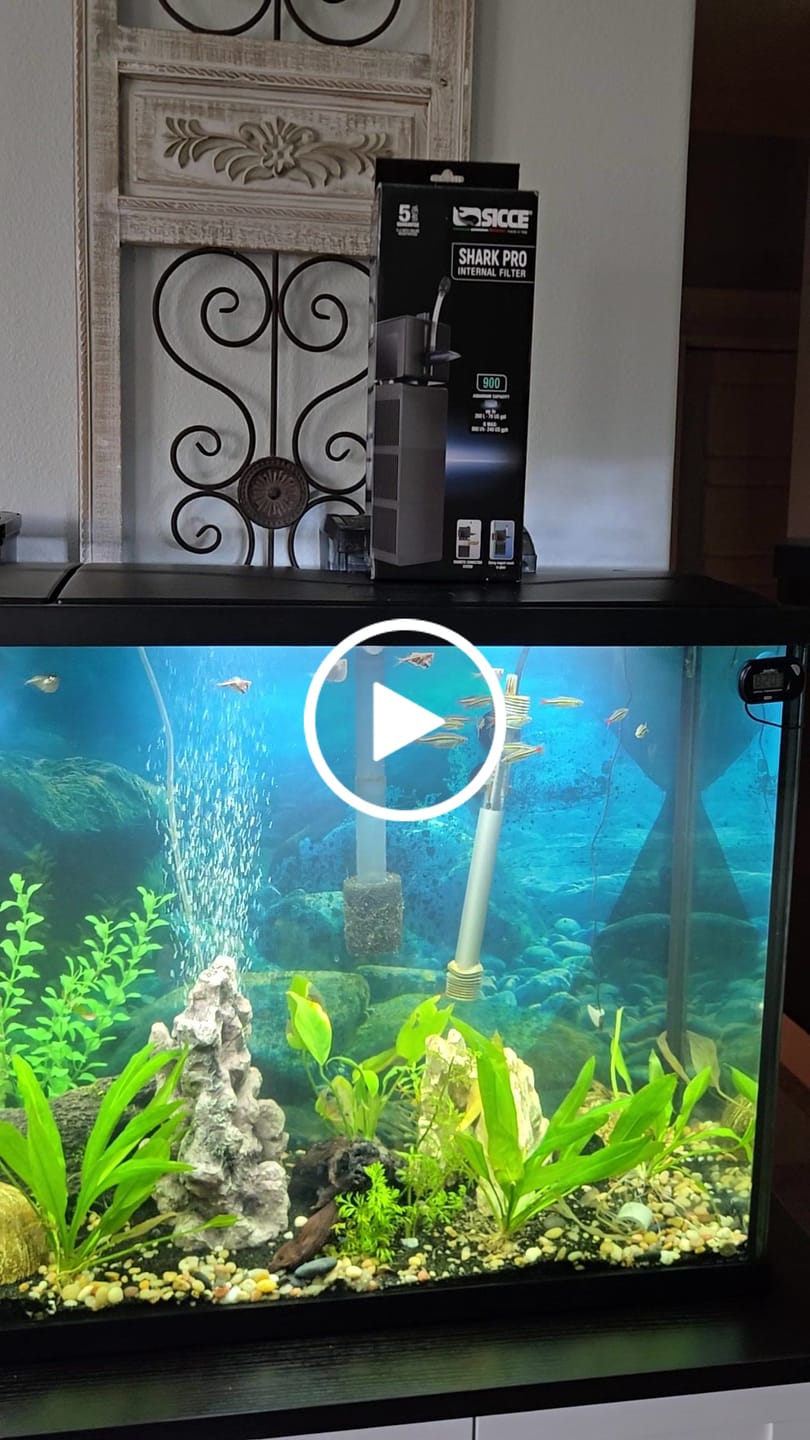 Customer video review of Shark PRO