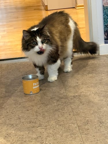 Customer photo review of Patsli® Immune