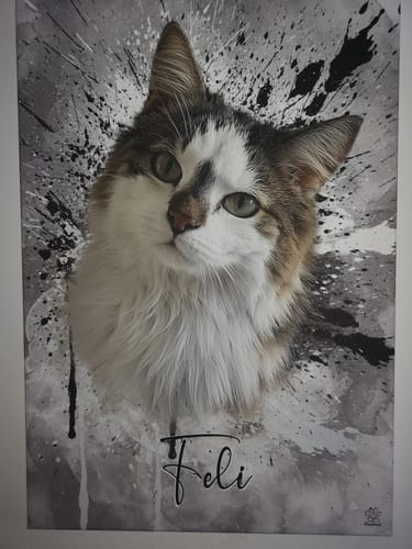 Customer photo review of Graffiti Pawtrait