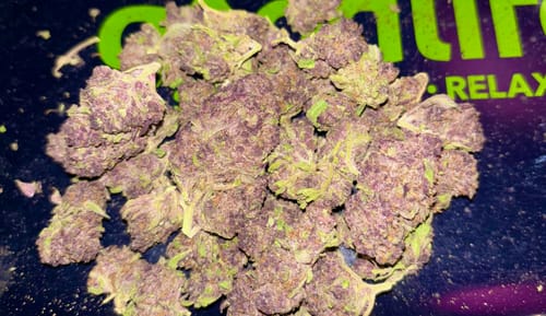 Customer photo review of Tropicana Cherry THCA Flower