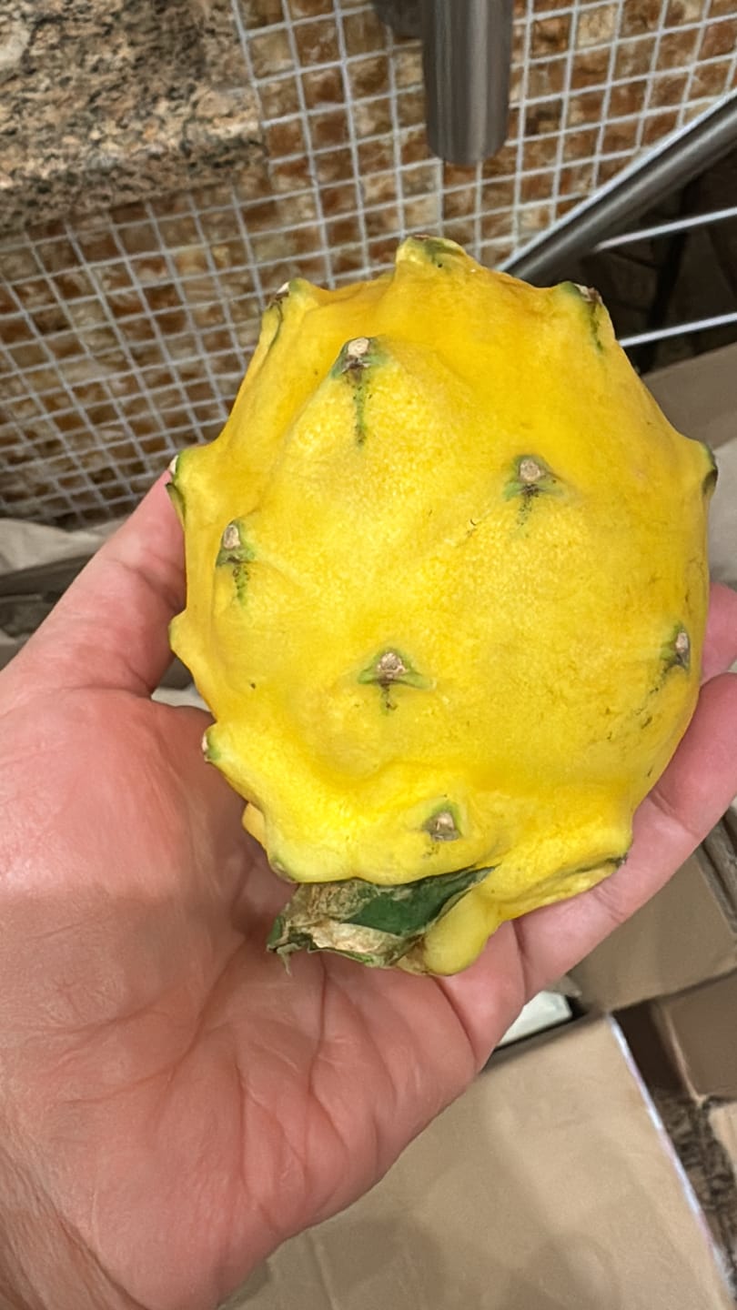 Customer photo review of Goldene Drachenfrucht (Pitaya) Sonderaktion