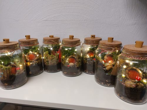 Customer photo review of Wichtelzauber im Flaschengarten - Flaschengartenset