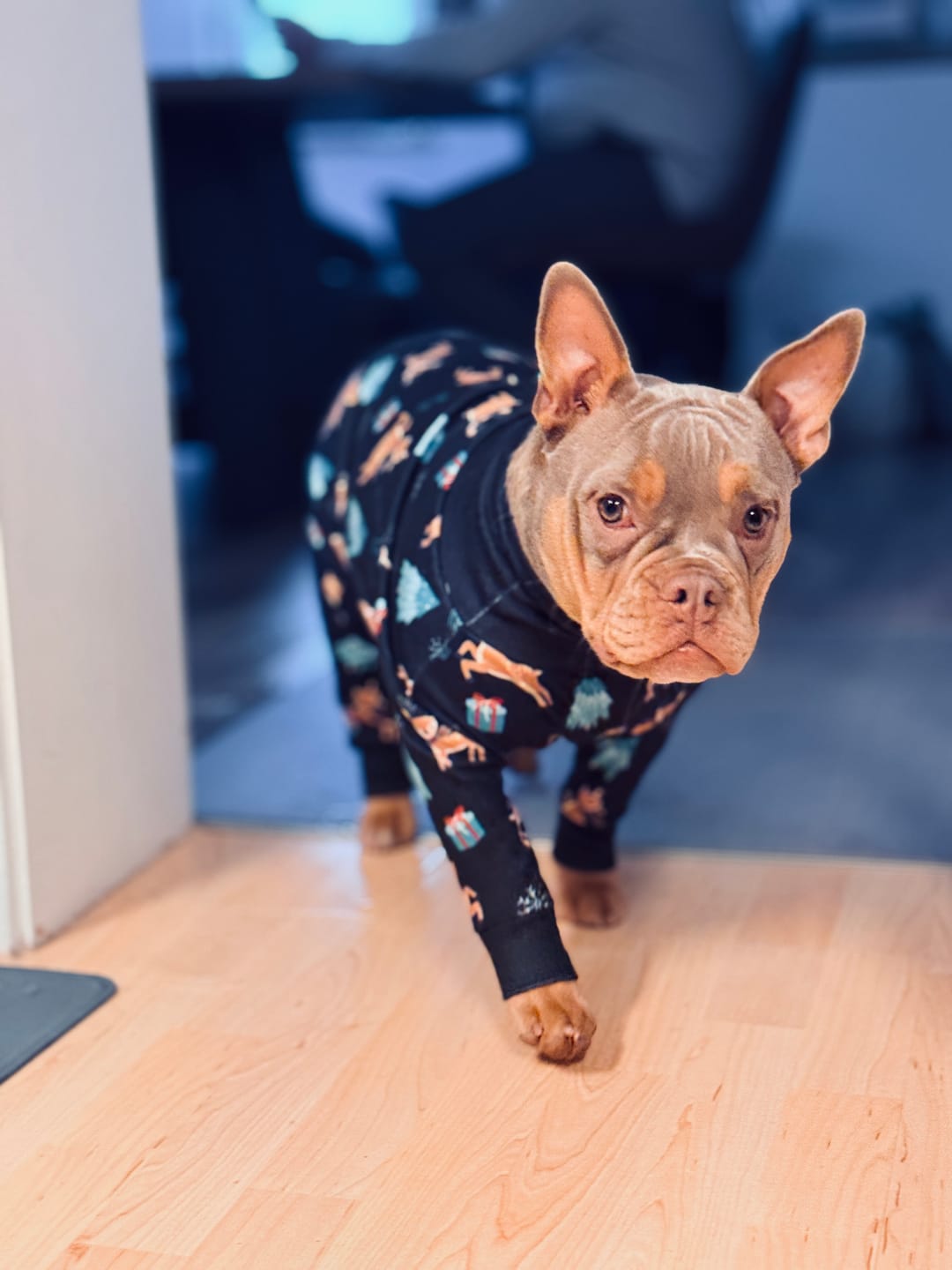 Customer photo review of Dog Christmas Pajama - Reindeers