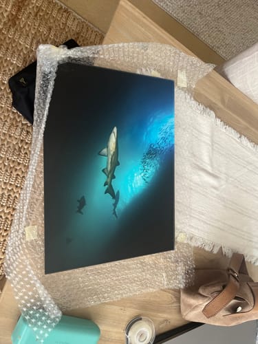 Customer photo review of Acrylic Mounting Panel - 30 x 40 cm