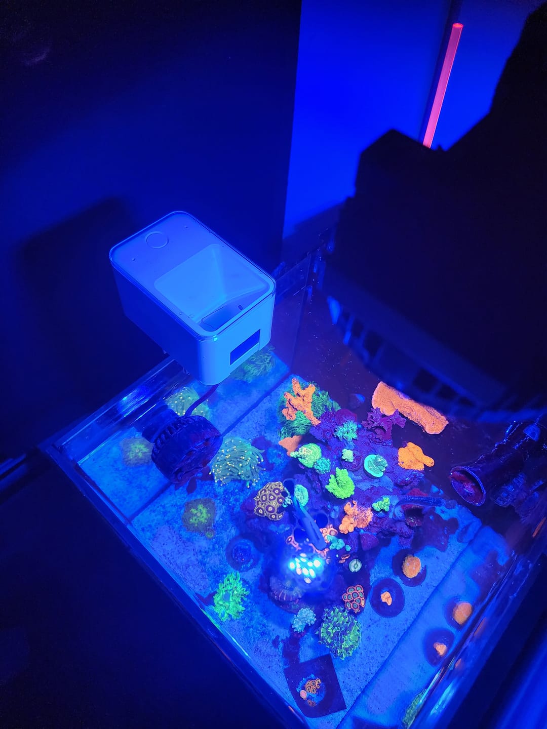 Customer photo review of Illumagic Pixel