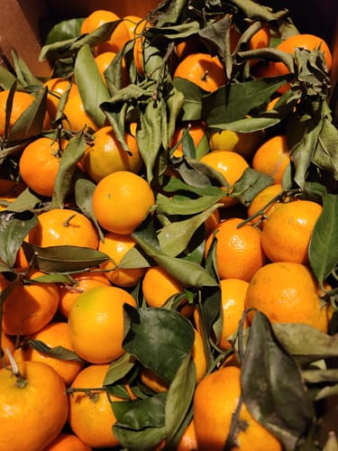 Sophie G. review of Clémentines Bio - Origine Corse image 1 out of 1