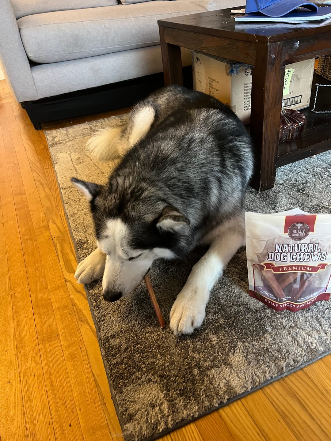 Customer photo review of Bully Bargain Bag