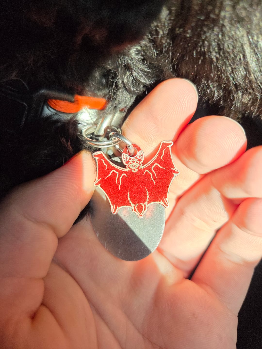 Customer photo review of PET TAG