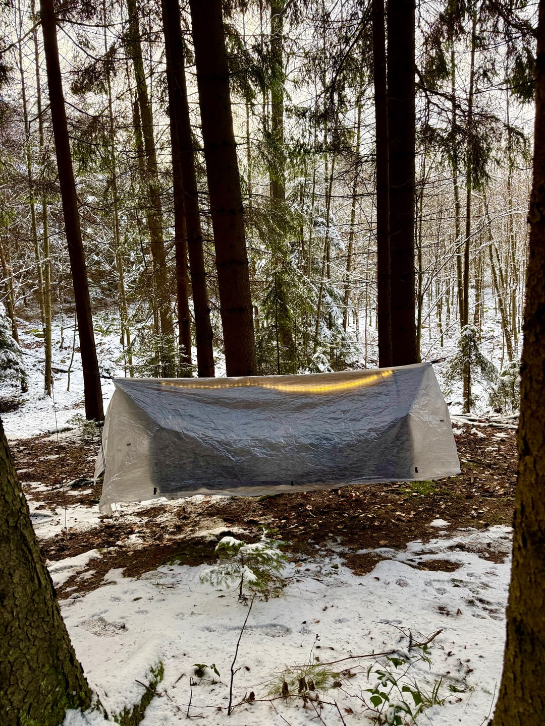 Customer photo review of Haven Spectre