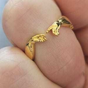 Customer photo review of Creation of Adam Ring