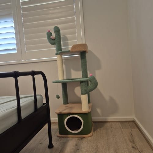 Customer photo review of Cactus-Styled Cat Climbing Tree