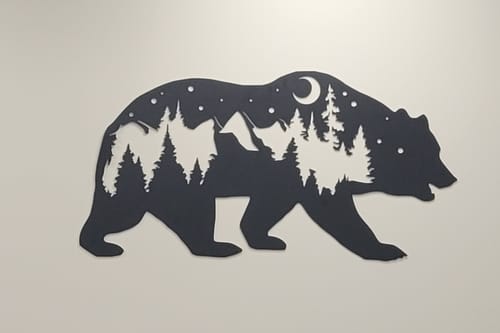 Customer photo review of Navidium Shipping Protection