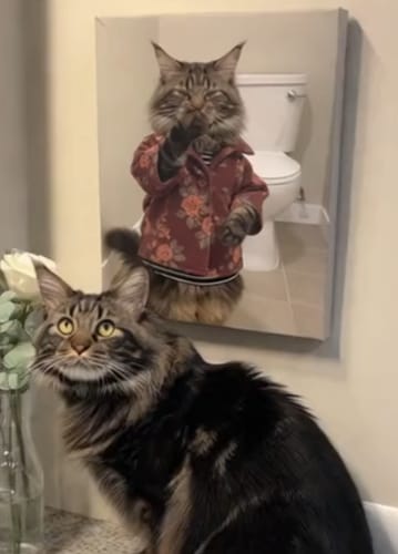 Customer photo review of Artzuzu Custom Portrait For Pets - Eau de Toilette