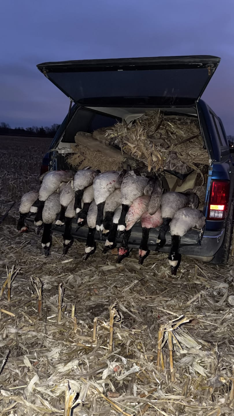Customer photo review of Short Fuse Goose Call