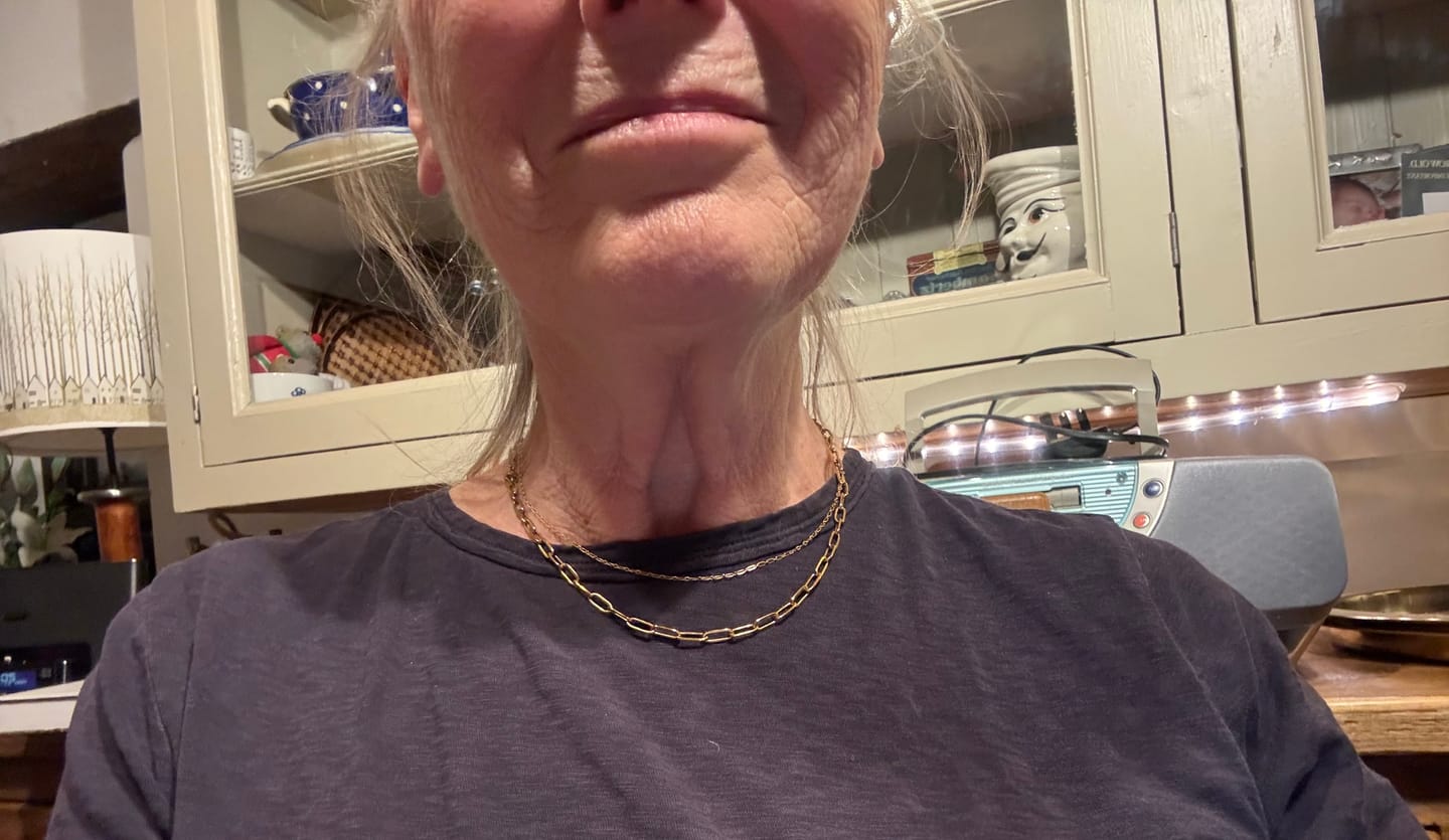 Customer photo review of Fine Paperclip Chain