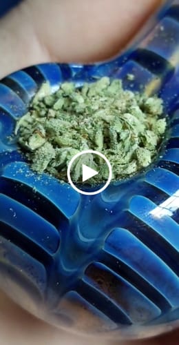 Customer video review of Greenhouse Smalls