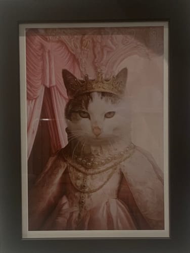 Customer photo review of The Spoiled Princess - Custom Pet Portrait