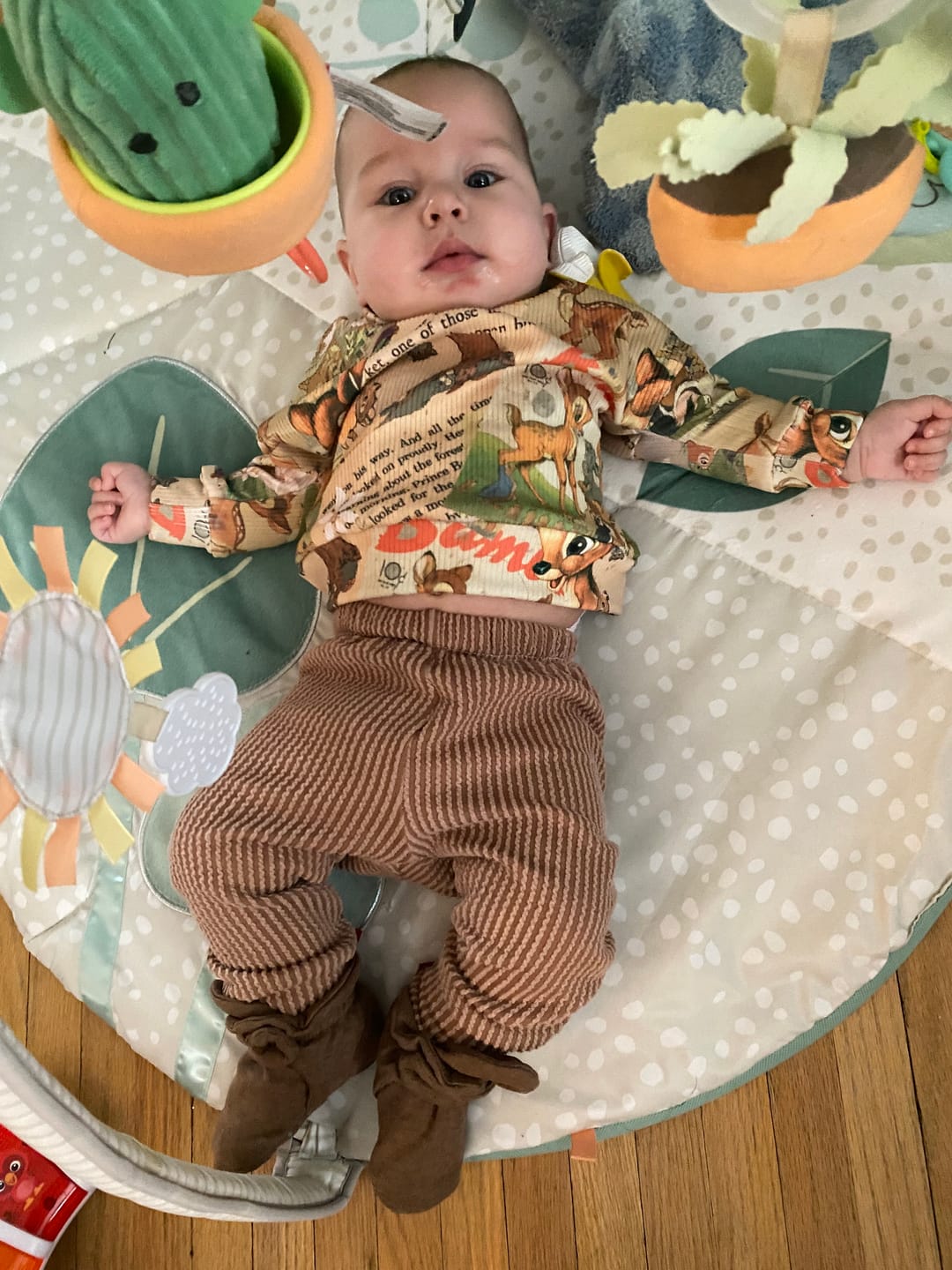 Customer photo review of Organic Cotton Gripper Baby Bootie - Heather Mocha