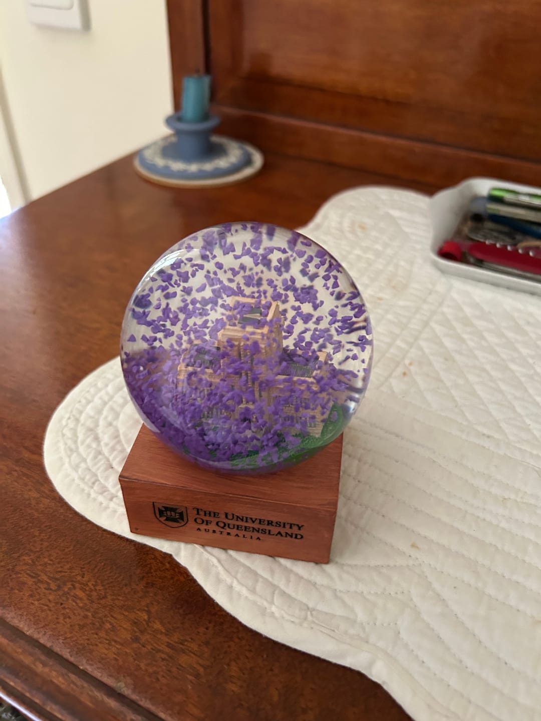 Customer photo review of UQ Jacaranda Globe