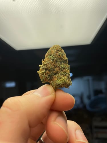 Customer photo review of Tangie THCA Flower
