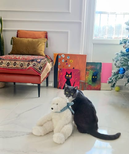 Avis photo d'un client sur Croquettes Chat Stérilisé Sans Céréales - Poulet