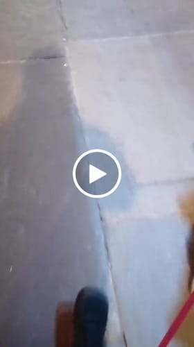 Customer video review of Ash - Scarpe Barefoot Invernali