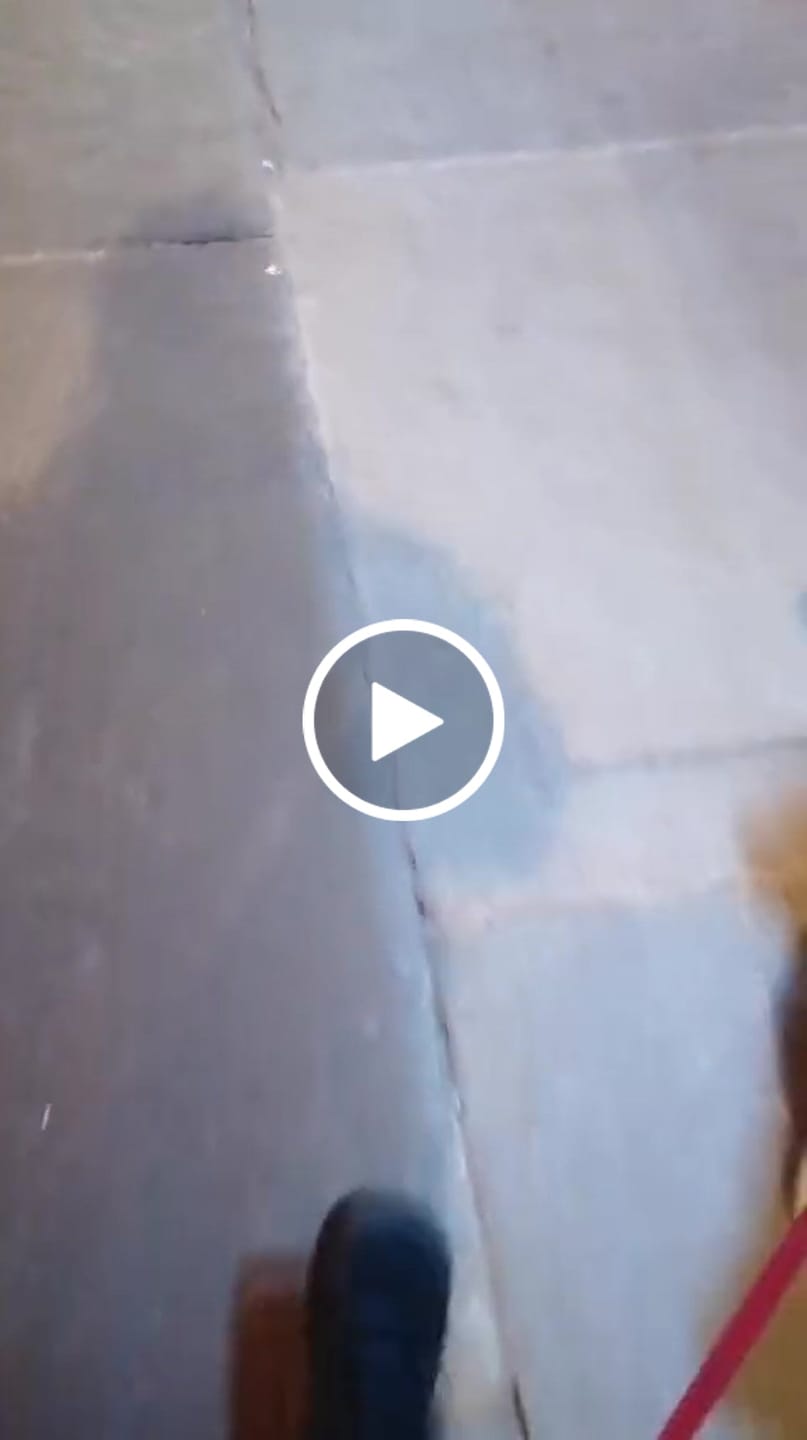 Customer video review of Ash - Scarpe Barefoot Invernali