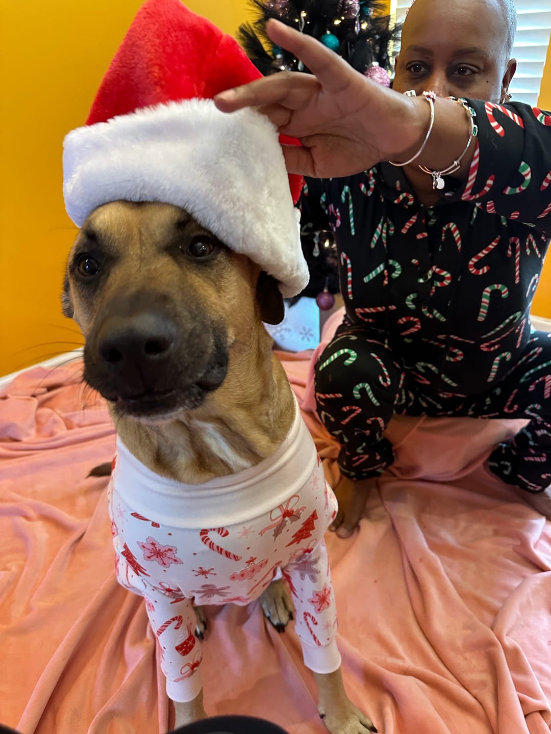 Customer photo review of Dog Christmas Pajama - Candy Cane