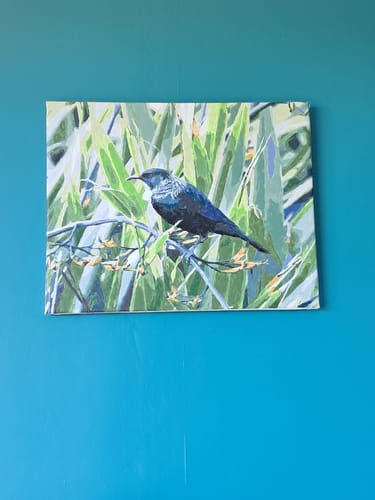 Customer photo review of Tui in Flax Bush