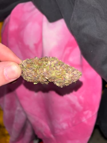 Customer photo review of Trop Cherry - 14 Grams - Sativa