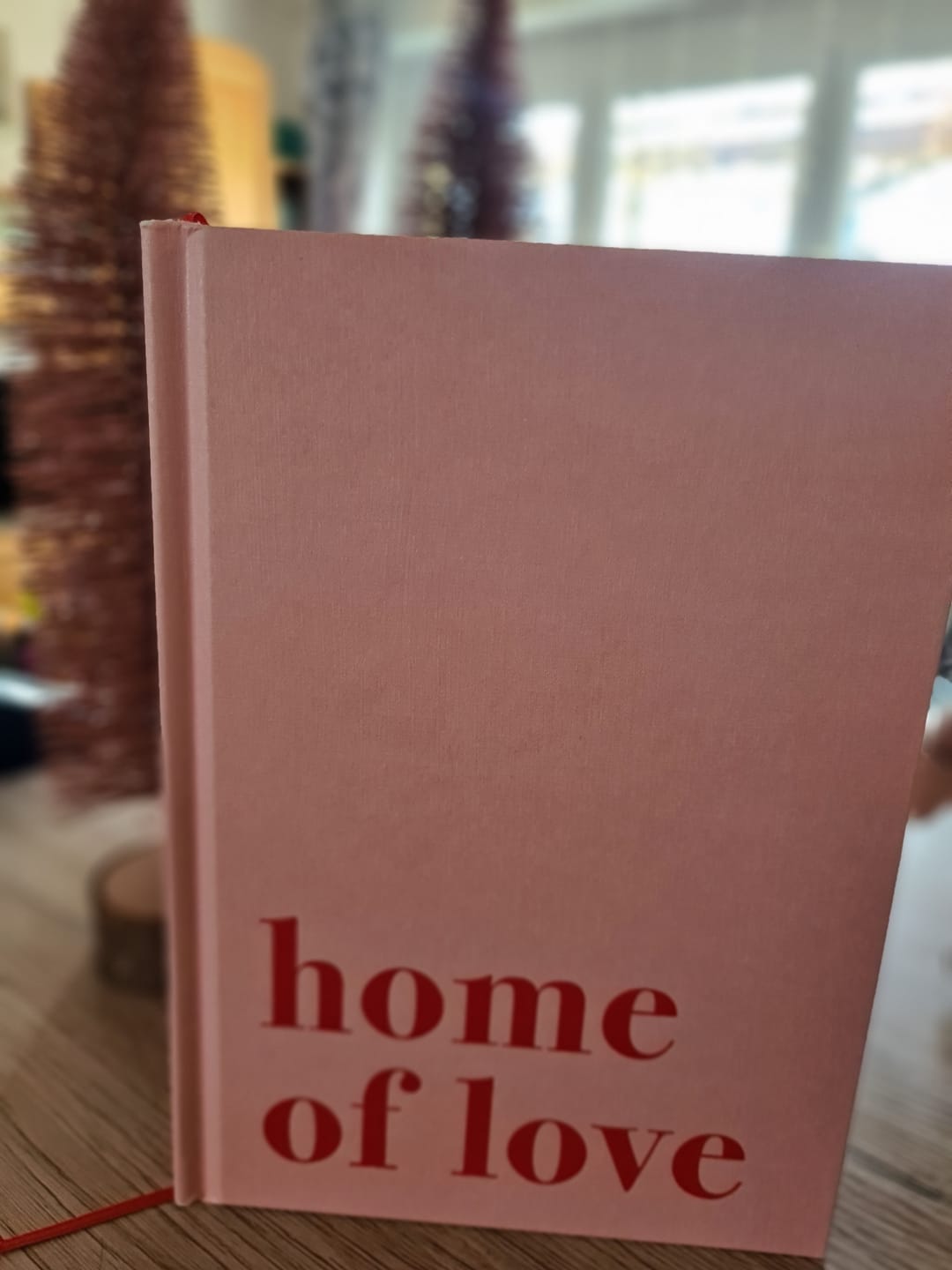 Customer photo review of „home of love“ Journal